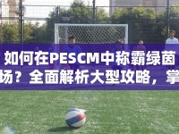 如何在PESCM中稱霸綠茵場(chǎng)？全面解析大型攻略，掌握必勝策略！