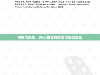 黑客大曝光，Web世界的暗流與防御之光