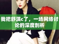 我把舒淇c了，一場網(wǎng)絡討論的深度剖析