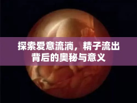 探索愛(ài)意流淌，精子流出背后的奧秘與意義