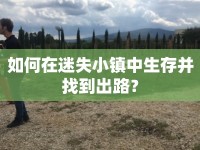 如何在迷失小鎮(zhèn)中生存并找到出路？