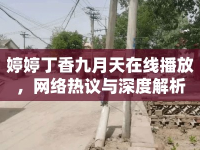 婷婷丁香九月天在線播放，網(wǎng)絡(luò)熱議與深度解析