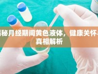 揭秘月經(jīng)期間黃色液體，健康關(guān)懷與真相解析