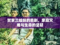 賀家三姐妹的悲劇，家庭災(zāi)難與生命的堅(jiān)韌