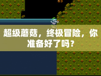 超級(jí)蘑菇，終極冒險(xiǎn)，你準(zhǔn)備好了嗎？