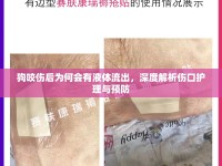 狗咬傷后為何會(huì)有液體流出，深度解析傷口護(hù)理與預(yù)防