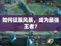 如何征服風暴，成為最強王者？