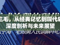 上海三毛，從經典記憶到現代轉型的深度剖析與未來展望