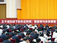 王子誠引領(lǐng)下的東北特鋼，新篇章與未來展望