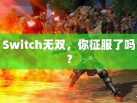 Switch無雙，你征服了嗎？