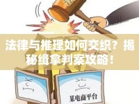 法律與推理如何交織？揭秘緝拿判案攻略！