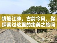 錢塘江畔，古韻今風，你探索過這里的絕美之旅嗎？
