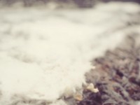 你的誅仙手游寶寶為何遲遲不變異？關(guān)鍵秘訣大公開！，（理由，以用戶痛點(diǎn)切入，用為何引發(fā)好奇，秘訣暗示獨(dú)家內(nèi)容，問句形式增強(qiáng)互動(dòng)感，符合吸引點(diǎn)擊的要求。）