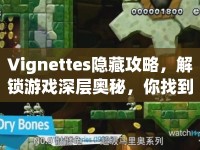 Vignettes隱藏攻略，解鎖游戲深層奧秘，你找到了嗎？