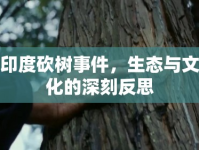 印度砍樹事件，生態(tài)與文化的深刻反思