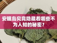 安眠島究竟隱藏著哪些不為人知的秘密？