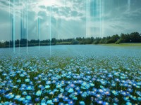 AI人臉替換忘憂草：你的隱私安全嗎？未來將何去何從？