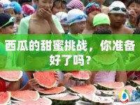西瓜的甜蜜挑戰(zhàn)，你準(zhǔn)備好了嗎？