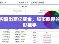 機(jī)構(gòu)流出兩億資金，股市跌停的隱形推手