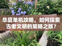 華夏單機(jī)攻略，如何探索古老文明的策略之旅？