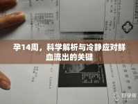 孕14周，科學(xué)解析與冷靜應(yīng)對鮮血流出的關(guān)鍵