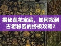 揭秘蓮花寶藏，如何找到古老秘密的終極攻略？