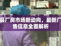 景泰縣廠房市場新動向，最新廠房出售信息全面解析