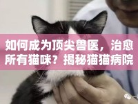 如何成為頂尖獸醫(yī)，治愈所有貓咪？揭秘貓貓病院攻略！