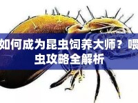 如何成為昆蟲飼養(yǎng)大師？喂蟲攻略全解析