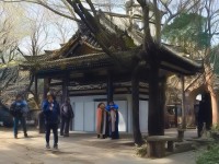 沙僧裝備這樣搭，輔助輸出竟能秒變主C？