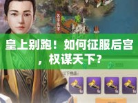皇上別跑！如何征服后宮，權(quán)謀天下？