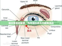 淚水背后的秘密，為何淚水總從內(nèi)眼角流出