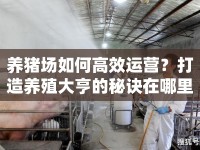 養(yǎng)豬場(chǎng)如何高效運(yùn)營(yíng)？打造養(yǎng)殖大亨的秘訣在哪里？