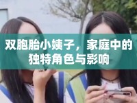 雙胞胎小姨子，家庭中的獨特角色與影響