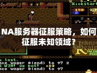 NA服務(wù)器征服策略，如何征服未知領(lǐng)域？