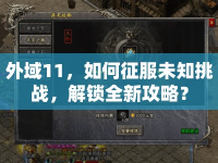 外域11，如何征服未知挑戰(zhàn)，解鎖全新攻略？