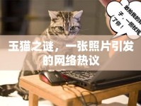 玉貓之謎，一張照片引發(fā)的網(wǎng)絡(luò)熱議