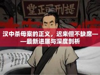 漢中殺母案的正義，遲來但不缺席——最新進(jìn)展與深度剖析