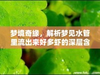 夢境奇緣，解析夢見水管里流出來好多蝦的深層含義