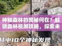 神秘森林的奧秘何在？解鎖森林視屏攻略，探索未知！