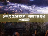夢境與自然的交響，樹樁下的隱秘水流探索