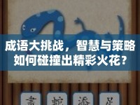 成語大挑戰(zhàn)，智慧與策略如何碰撞出精彩火花？