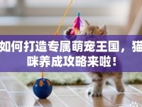 如何打造專屬萌寵王國，貓咪養(yǎng)成攻略來啦！