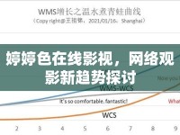 婷婷色在線影視，網(wǎng)絡(luò)觀影新趨勢(shì)探討