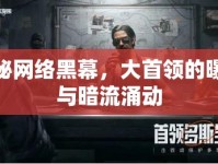 揭秘網(wǎng)絡(luò)黑幕，大首領(lǐng)的曝光與暗流涌動