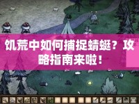 饑荒中如何捕捉蜻蜓？攻略指南來啦！