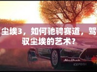 塵埃3，如何馳騁賽道，駕馭塵埃的藝術(shù)？