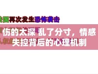 傷的太深 亂了分寸，情感失控背后的心理機(jī)制
