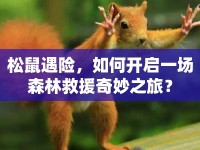 松鼠遇險(xiǎn)，如何開啟一場(chǎng)森林救援奇妙之旅？