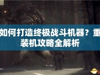 如何打造終極戰(zhàn)斗機(jī)器？重裝機(jī)攻略全解析